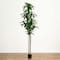 9ft. Potted Green Artificial Dracaena Tree with Real Touch Leaves